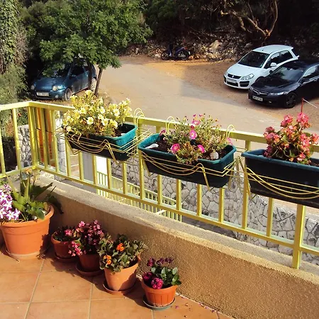 Apartman Marica *